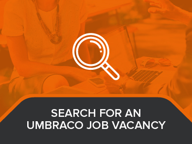 Find an Umbraco Job Vacancy