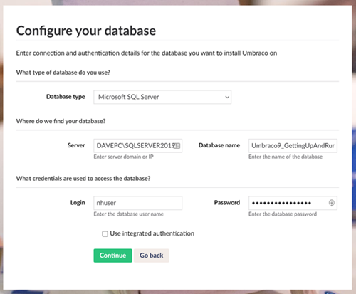Umbraco 9 Database Screen